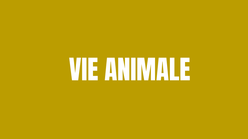 Notre programme VIE ANIMALE