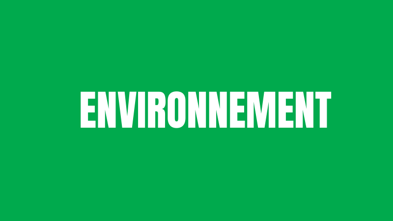 Notre programme ENVIRONNEMENT